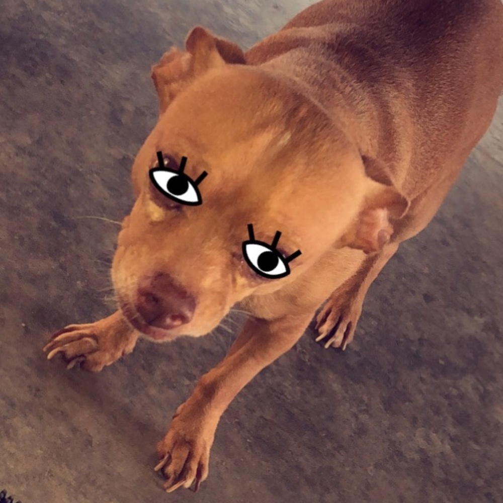 Meet your Posher, Alexa